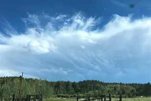 3153 Homestake Pl, Florissant, CO 80816 - Photo 33