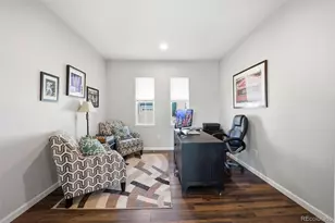 4810 Basalt Ridge Cir, Castle Rock, CO 80108 - Photo 19