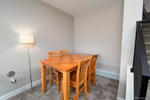 8937 Animas River St, Littleton, CO 80125 - Photo 21