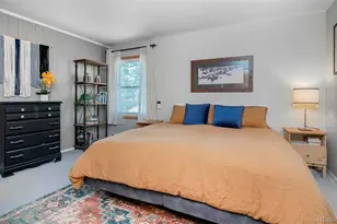 27225 Mountain Park Rd, Evergreen, CO 80439 - Photo 33