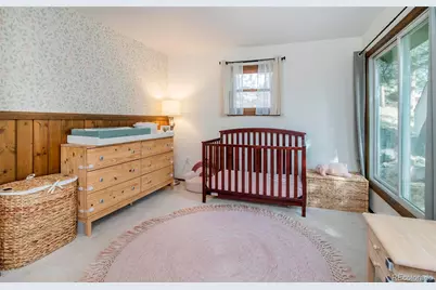 27225 Mountain Park Road, Evergreen, CO 80439 - Photo 37