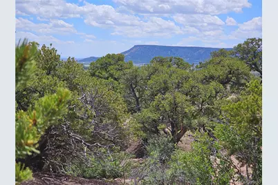 000 Kruest Road, Fort Garland, CO 81133 - Photo 7