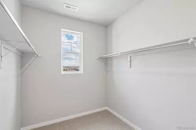 13381 Finnhorse Street, Parker, CO 80134 - Photo 29