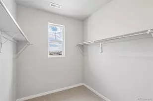 13381 Finnhorse St, Parker, CO 80134 - Photo 29