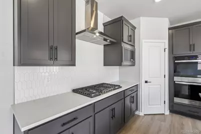 13381 Finnhorse Street, Parker, CO 80134 - Photo 13