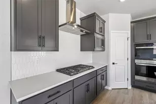 13381 Finnhorse St, Parker, CO 80134 - Photo 13