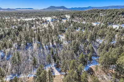 1371 Grayhawk Place, Larkspur, CO 80118 - Photo 11