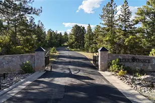 1371 Grayhawk Pl, Larkspur, CO 80118 - Photo 1