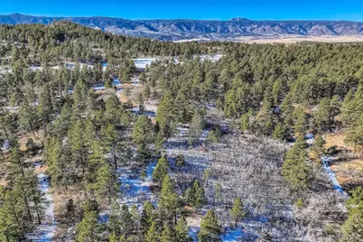 1371 Grayhawk Place, Larkspur, CO 80118 - Photo 3