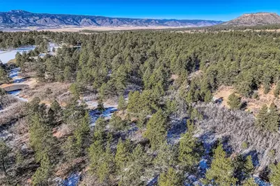 1371 Grayhawk Place, Larkspur, CO 80118 - Photo 13