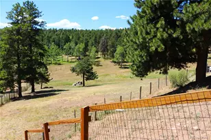 26115 Amy Cir, Conifer, CO 80433 - Photo 21