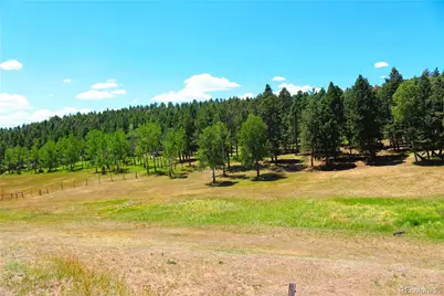 26115 Amy Circle, Conifer, CO 80433 - Photo 15