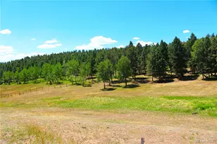 26115 Amy Cir, Conifer, CO 80433 - Photo 15