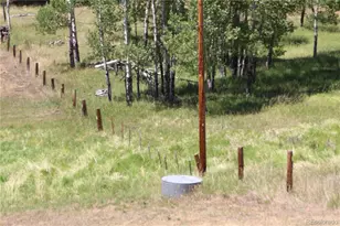 26115 Amy Cir, Conifer, CO 80433 - Photo 23
