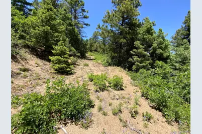 000 Peak View Ridge, Canon City, CO 81212 - Photo 27