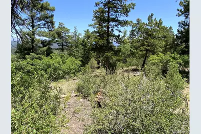 000 Peak View Ridge, Canon City, CO 81212 - Photo 35