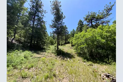 000 Peak View Ridge, Canon City, CO 81212 - Photo 47