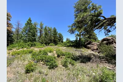 000 Peak View Ridge, Canon City, CO 81212 - Photo 15
