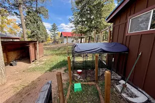 753 Will Stutley Dr, Divide, CO 80814 - Photo 13