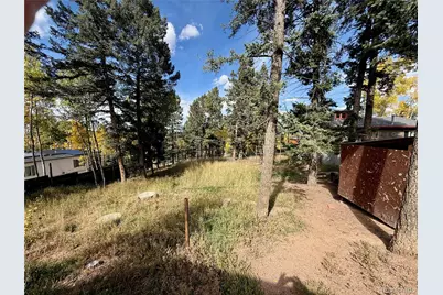 753 Will Stutley Drive, Divide, CO 80814 - Photo 11
