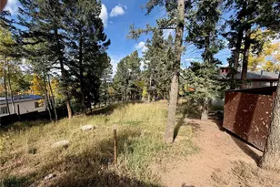 753 Will Stutley Dr, Divide, CO 80814 - Photo 11