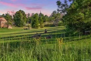 6154 Meadowbrook Dr, Morrison, CO 80465 - Photo 39