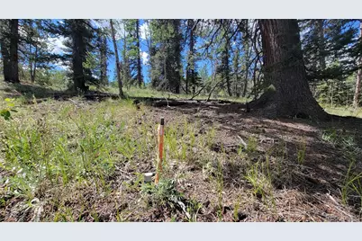 943 Bear Lane, Jefferson, CO 80456 - Photo 3