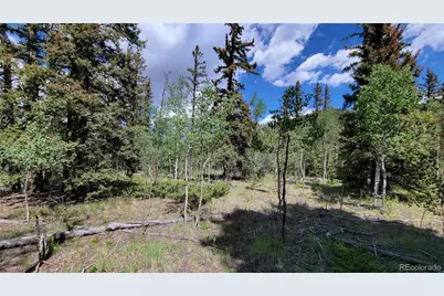 943 Bear Lane, Jefferson, CO 80456 - Photo 9