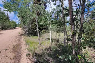 943 Bear Ln, Jefferson, CO 80456 - Photo 1