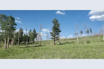 Lot 2120 Sigler Drive, Fort Garland, CO 81133 - Photo 5