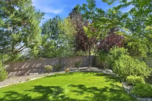 2993 Danbury Ave, Highlands Ranch, CO 80126 - Photo 47