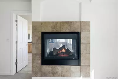 2993 Danbury Avenue, Highlands Ranch, CO 80126 - Photo 21