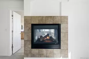 2993 Danbury Ave, Highlands Ranch, CO 80126 - Photo 21