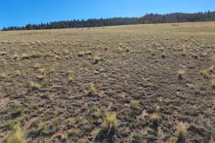 475 Summit Rd, Hartsel, CO 80449 - Photo 1