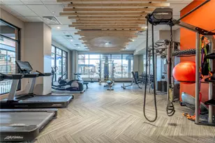 20 Wilcox Street, Castle Rock, CO 80104 - Photo 29