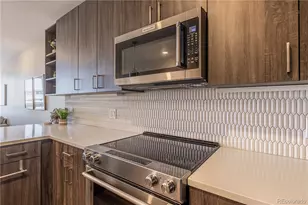 20 Wilcox Street, Castle Rock, CO 80104 - Photo 7