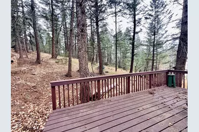 5475 S Twin Spruce Drive, Evergreen, CO 80439 - Photo 19