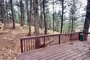 5475 S Twin Spruce Dr, Evergreen, CO 80439 - Photo 19