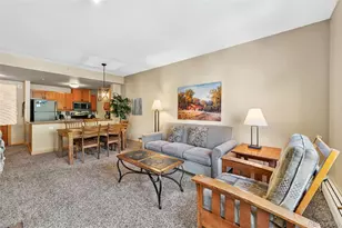 910 Copper Rd, Frisco, CO 80443 - Photo 3