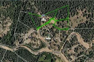 87 Bonanza Cir, Florissant, CO 80816 - Photo 21