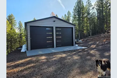 87 Bonanza Circle, Florissant, CO 80816 - Photo 19