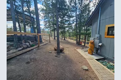 87 Bonanza Circle, Florissant, CO 80816 - Photo 17