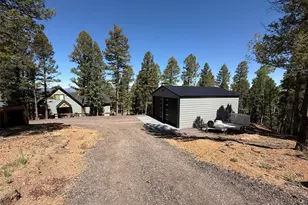 87 Bonanza Cir, Florissant, CO 80816 - Photo 3