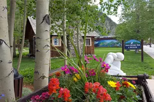720 Lakepoint Dr, Frisco, CO 80443 - Photo 33