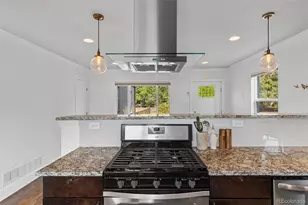 1452 Quitman St, Denver, CO 80204 - Photo 11