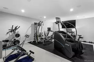 7436 Sapphire Pointe Blvd, Castle Rock, CO 80108 - Photo 21