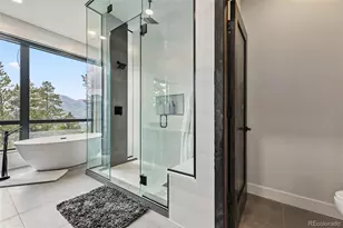 2520 Boreas Pass Rd, Breckenridge, CO 80424 - Photo 23