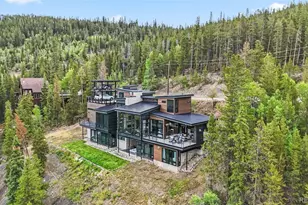 2520 Boreas Pass Rd, Breckenridge, CO 80424 - Photo 49