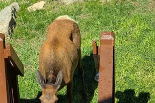 33095 Bergen Mountain Rd, Evergreen, CO 80439 - Photo 47