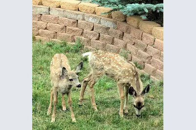 33095 Bergen Mountain Road, Evergreen, CO 80439 - Photo 45